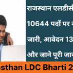 Rajasthan LDC Bharti 2026