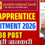 PNB Apprentice Recruitment 2026