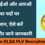 Rajasthan DLSA PLV Recruitment 2026